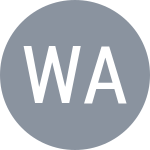 Amelia Waligora